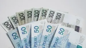 Czy pożyczki online zmieniły podejście Polaków do nagłych wydatków
